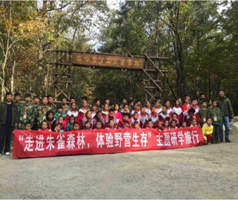 学生旅游新趋势:探索自然与文化的奇妙之旅